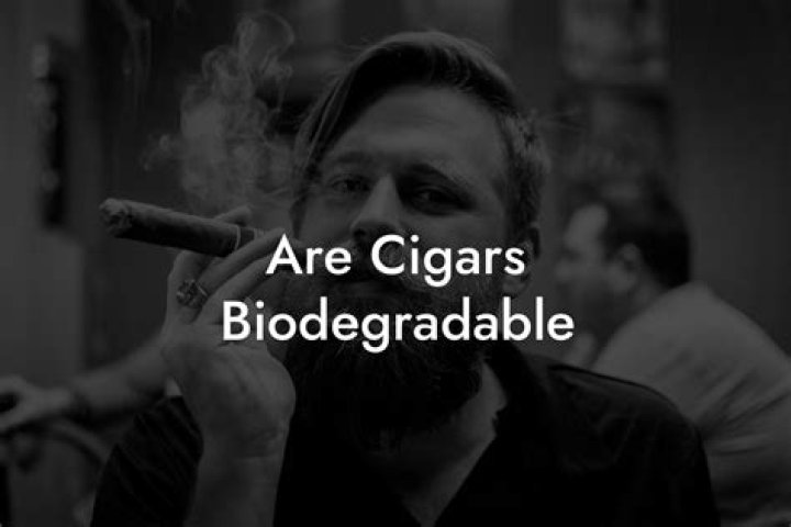 Are cigars biodegradable?