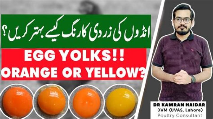 Are orange yolks OK?