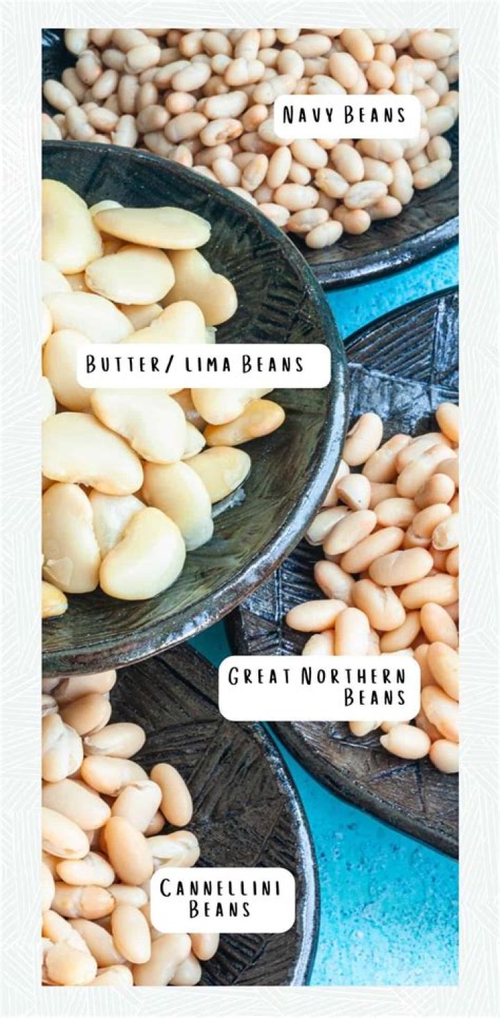 Are pink beans the same as navy beans?