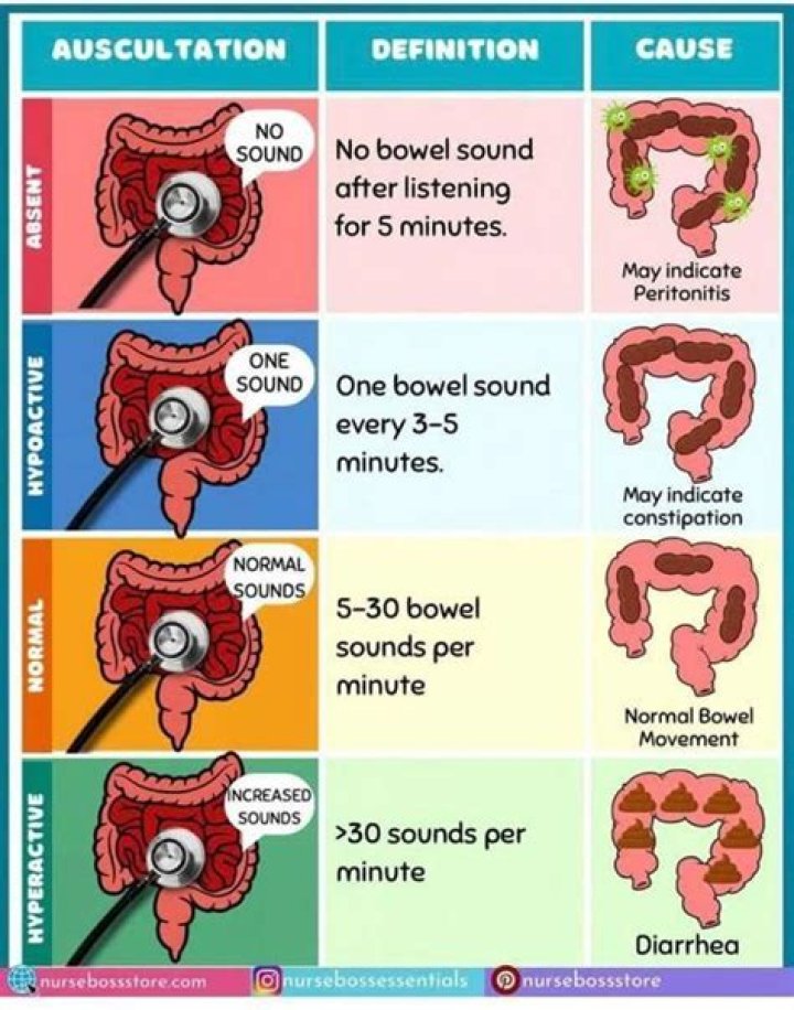 Are there bowel sounds with an obstruction?
