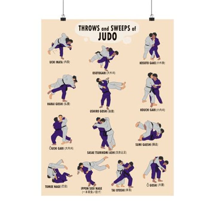 Are there throws in Taekwondo?