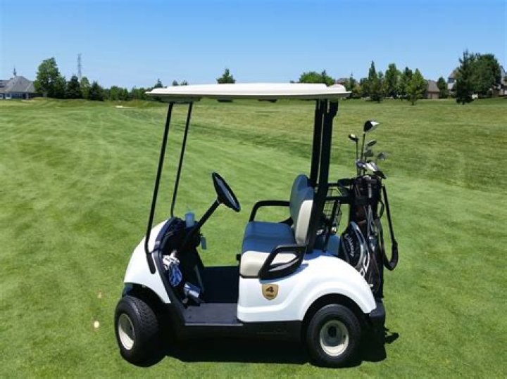 Are Trojan golf cart batteries worth the money?