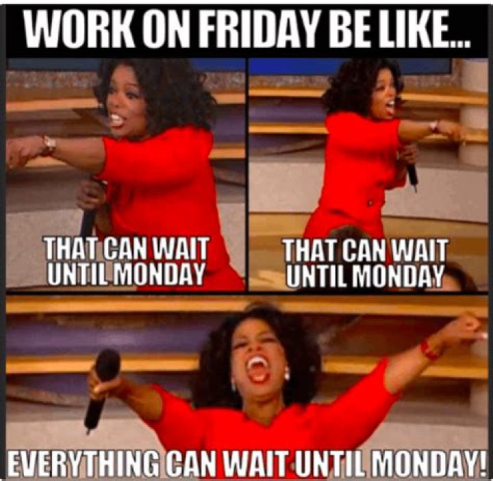 Can a cat UTI wait until Monday?