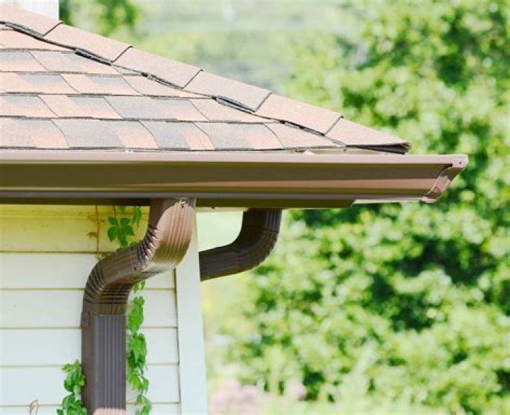 Can a snake crawl up a downspout?