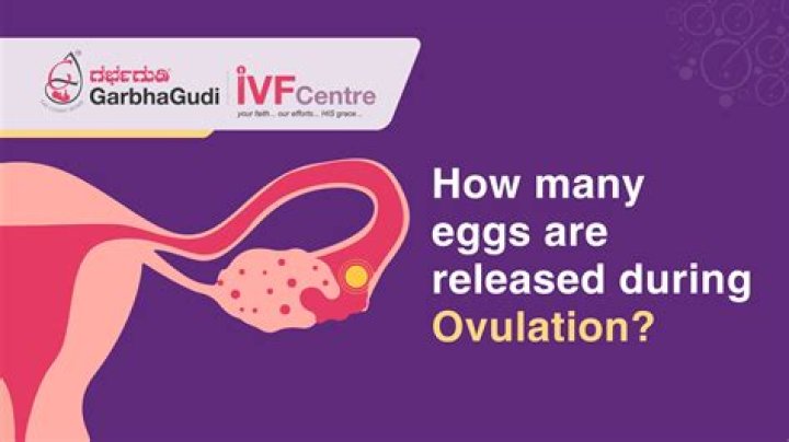 Can a woman ovulate and not release an egg?
