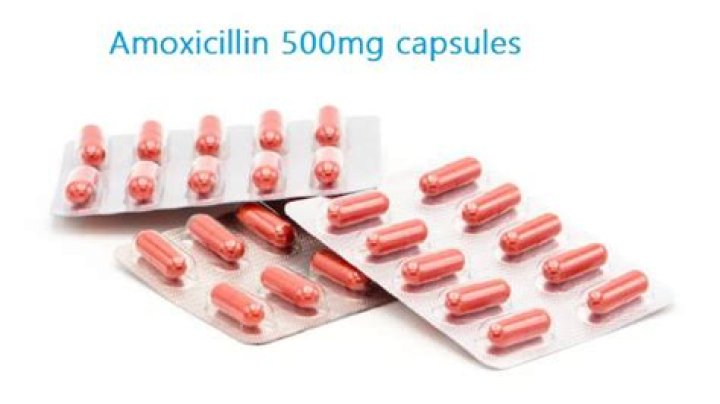 Can Amoxicillin 500mg treat gonorrhea?