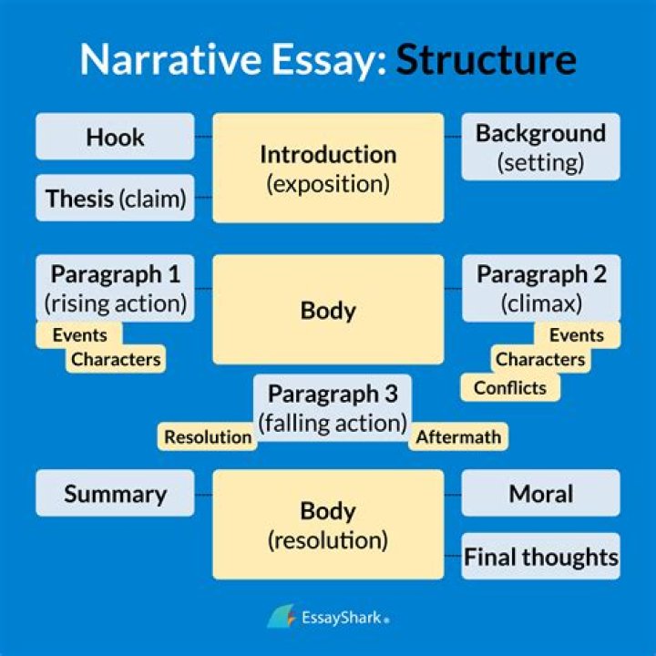 Can an essay have diagrams?
