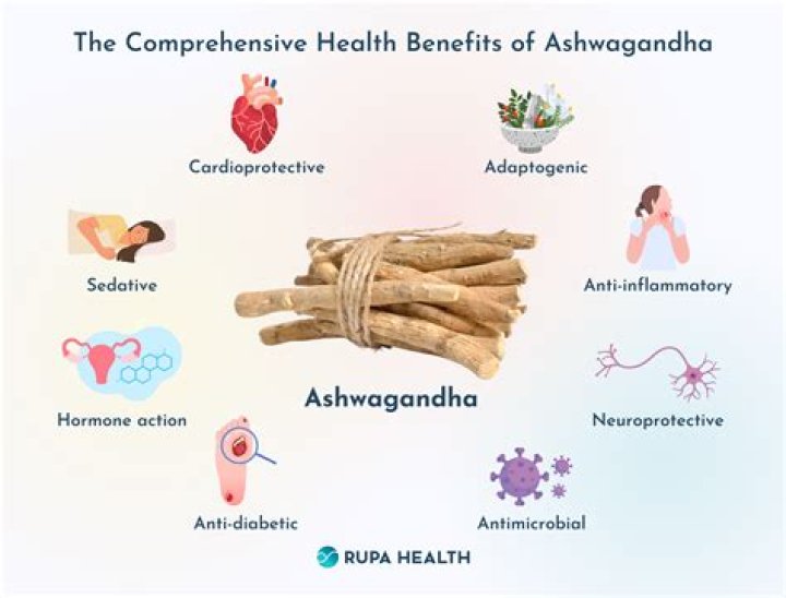 Can Ashwagandha heal the brain?