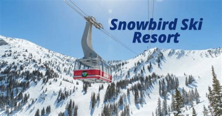 Can beginners ski at Snowbird?