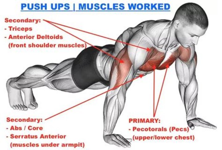 Can I do push ups on my rest days?