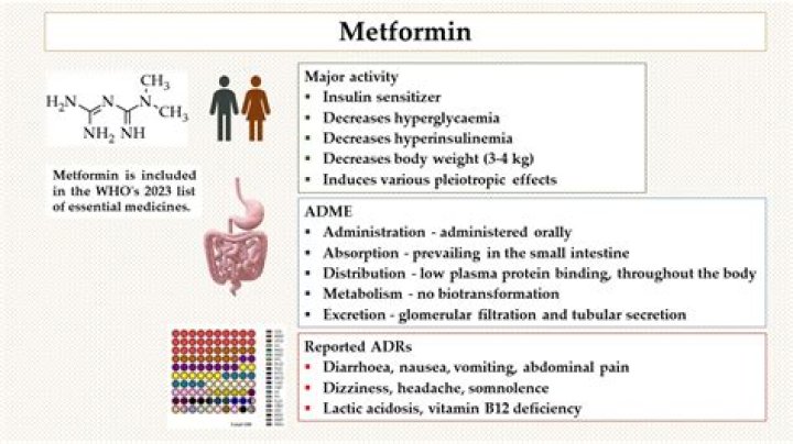 Can metformin cause twins?