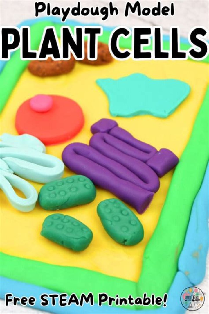 Can playdough be used as a mold?