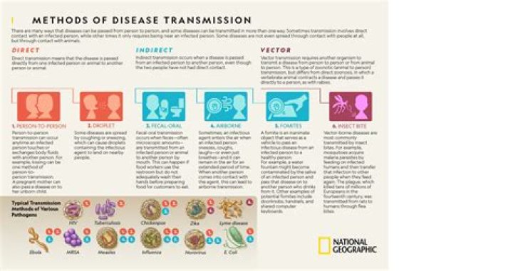 Can transmission cause stalling?