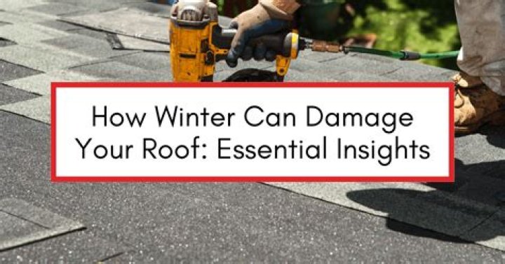 Can wasps damage your roof?