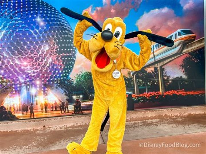 Can you bring your own poncho to Disney World?