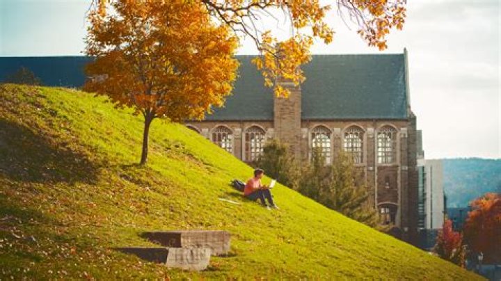 Can you drink at American University?
