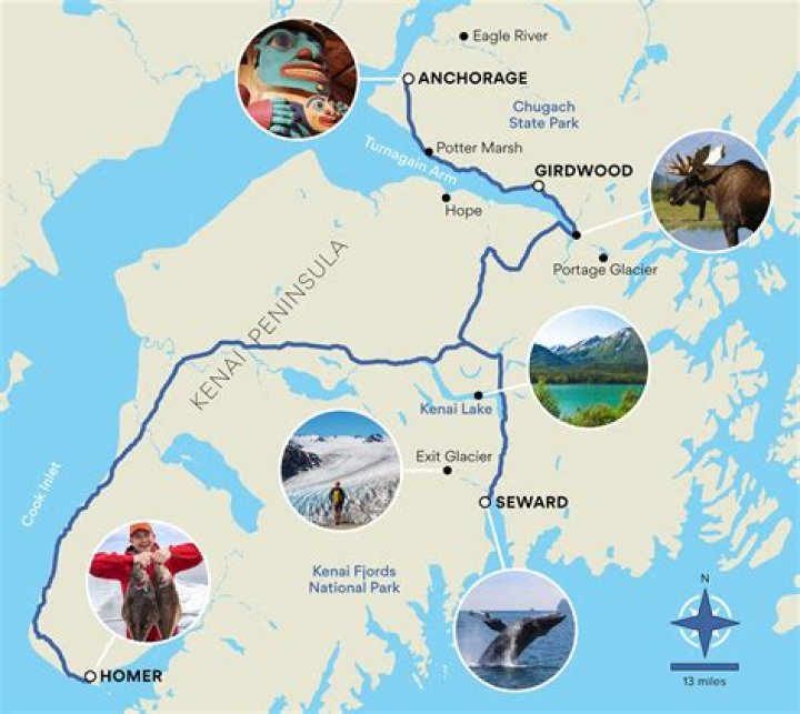 Can you drive from Anchorage to Homer?