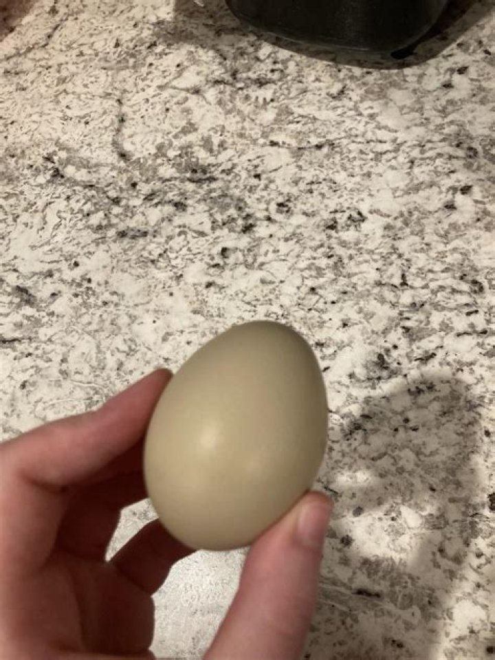 Can you eat unwashed eggs?