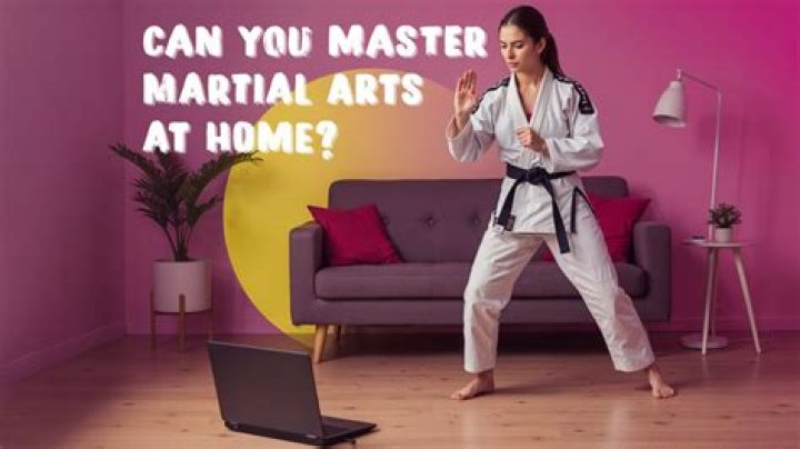 Can you master martial arts online?