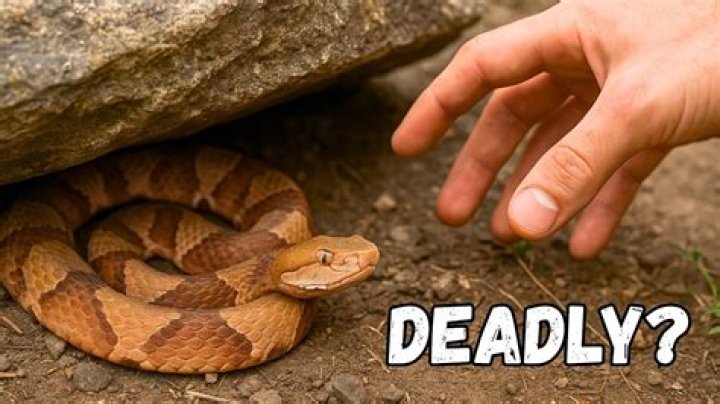 Can you play Copperhead without staying at Innisbrook?
