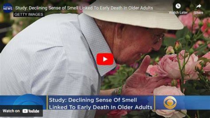 Can you smell death?