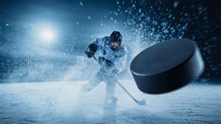 Can you throw the puck into the net?