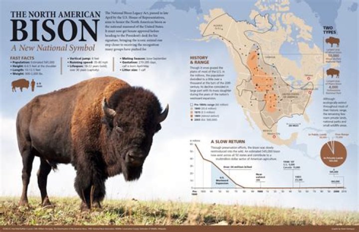Did bison live in Alabama?