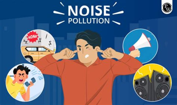 Do bats make a lot of noise?