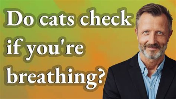 Do cats check if you're breathing?