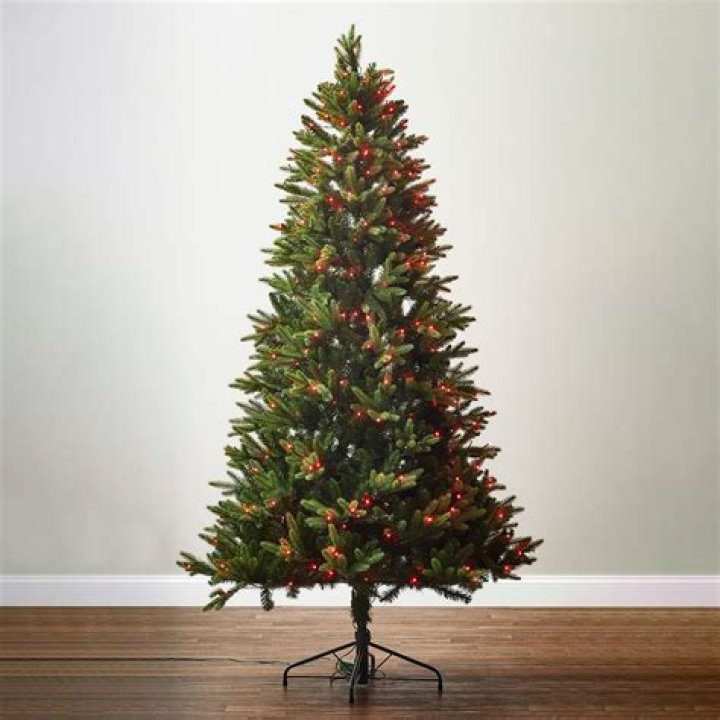 Do Christmas trees rot?