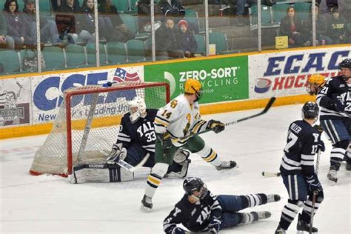 Do college hockey players get drafted?
