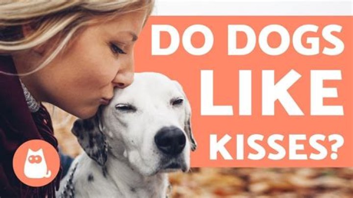 Do dogs like getting kissed?