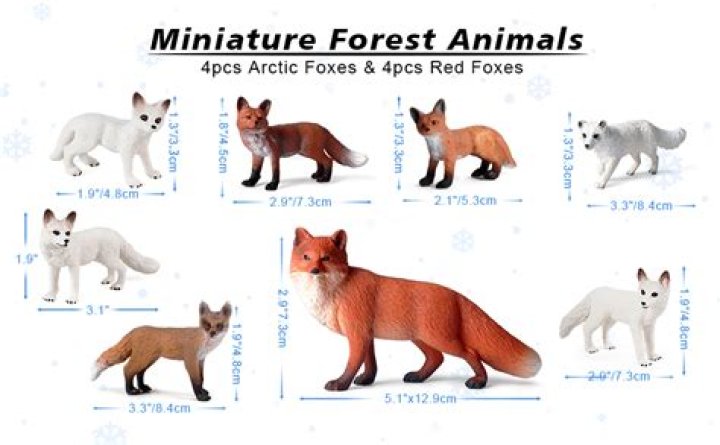 Do foxes like toys?