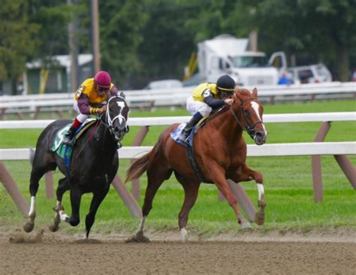 Do horses know they're racing?