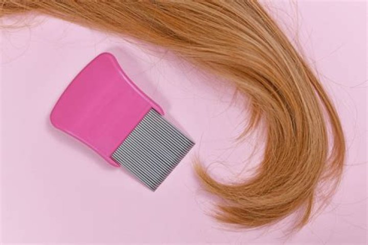 Do lice like dyed hair?