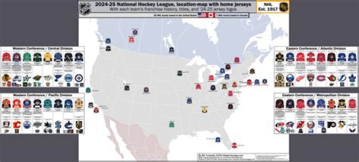 Do NHL teams make a profit?