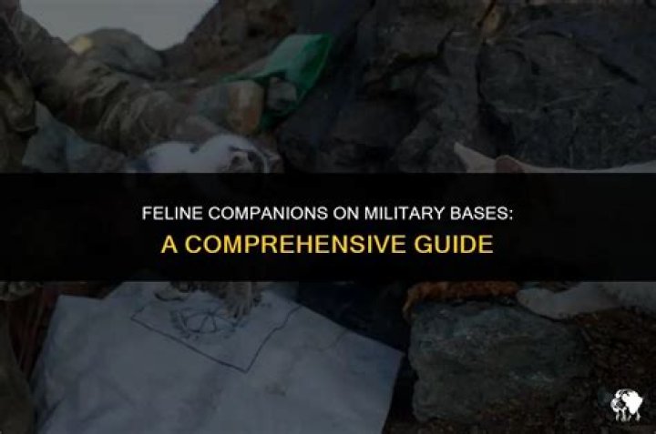Do you have to be married to live on military base?