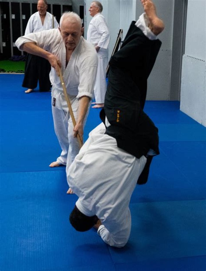 Does Aikido work in a street fight?