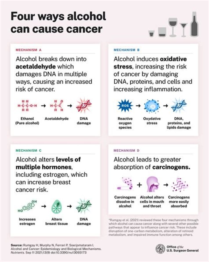 Does alcohol cause schizophrenia?