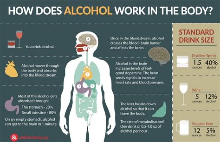 Does alcohol change your body shape?