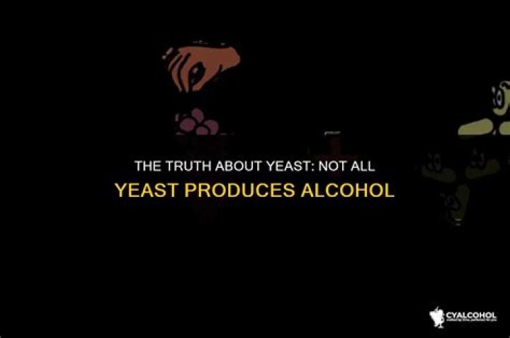 Does all yeast produce alcohol?