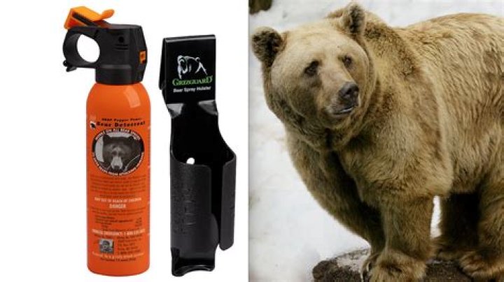 Does bear spray work on cougars?