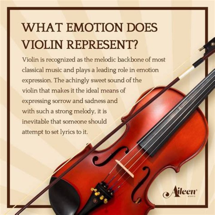 Does southwest allow violins?