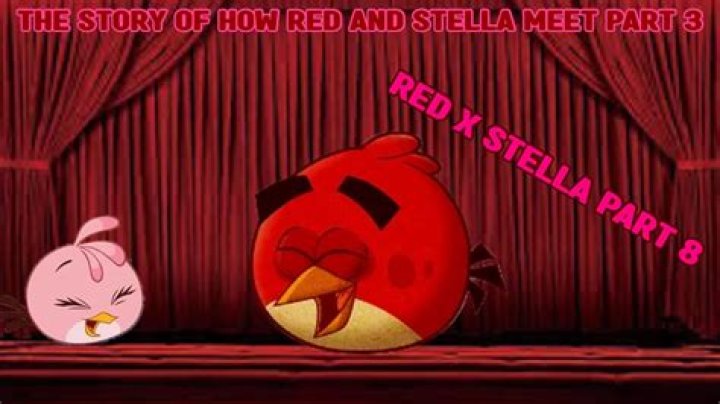 Does Stella like red?
