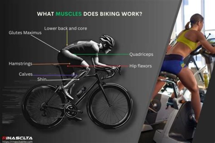 Does weight Affect in biking?
