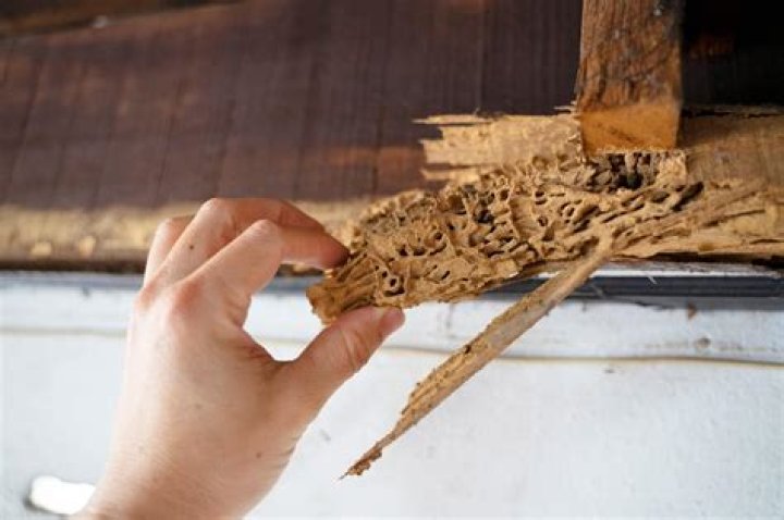 Does white spirit damage wood?