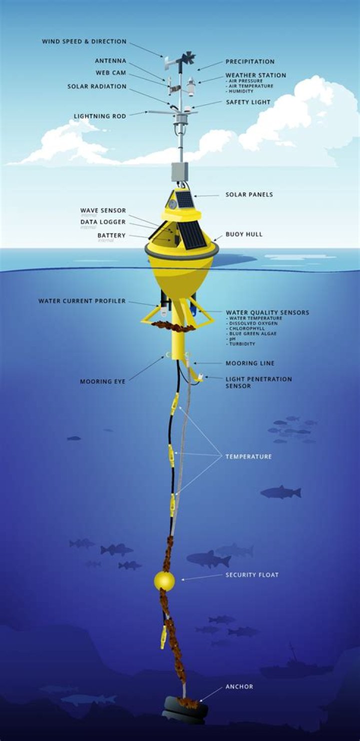 How do buoys stay in place?
