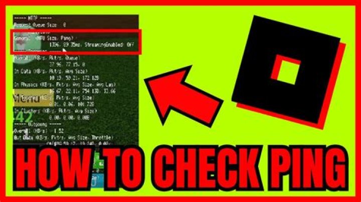 How do I check my Ping serial number?