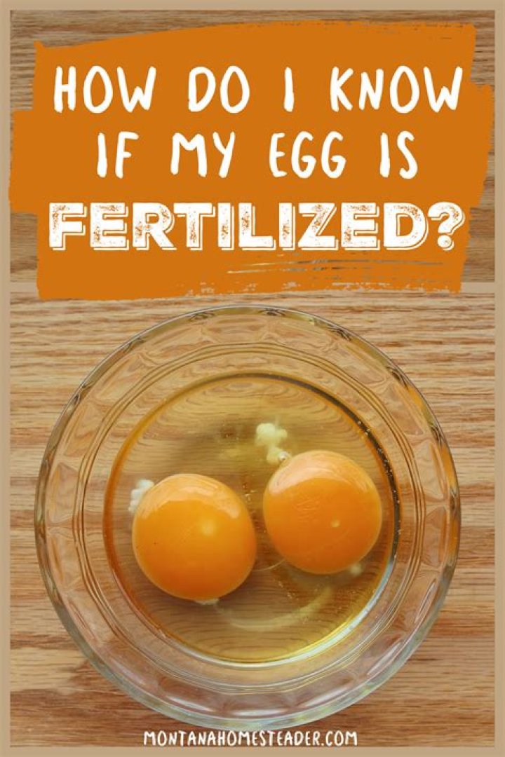 How do I know if Im growing?