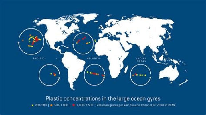 How do scientists study phytoplankton concentrations in the world ocean?